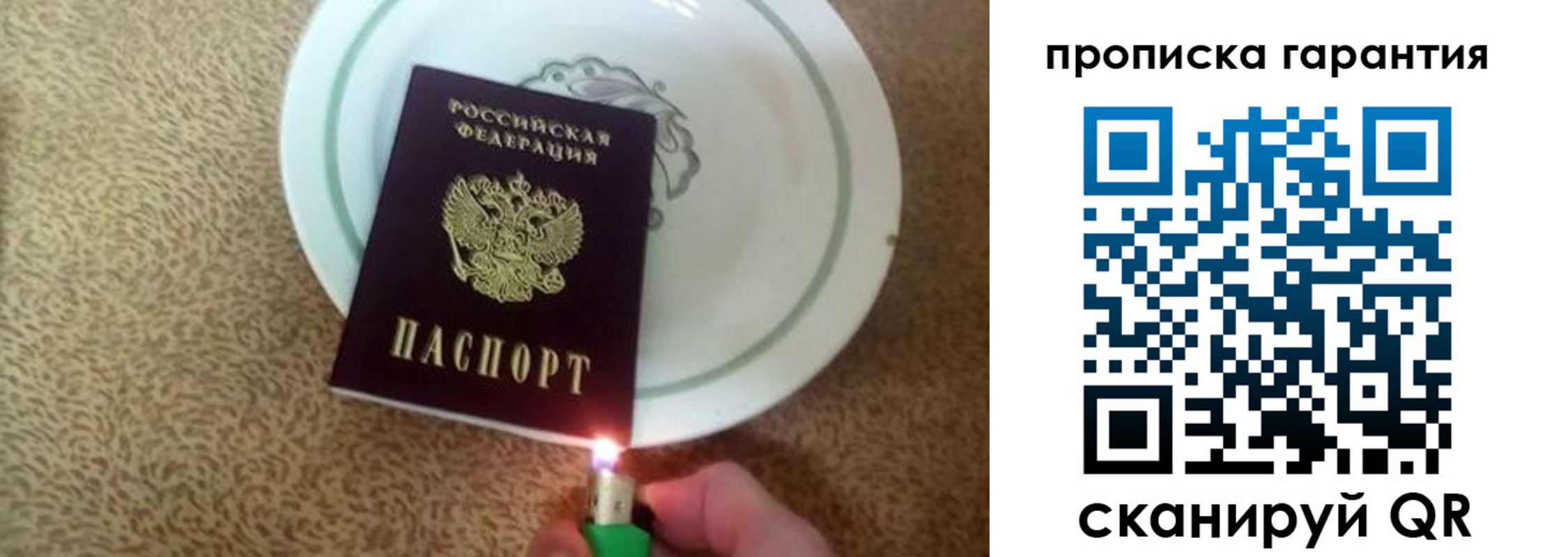 прописка гарантия в Кондрово